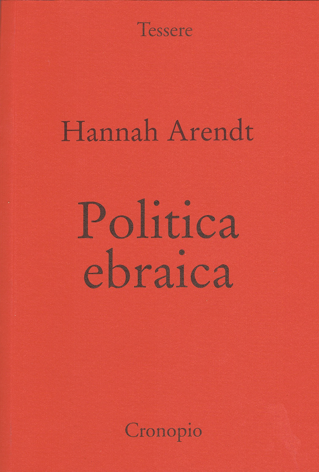 Hannah Arendt, Politica ebraica